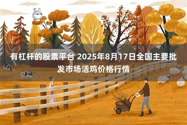 有杠杆的股票平台 2025年8月17日全国主要批发市场活鸡价格行情